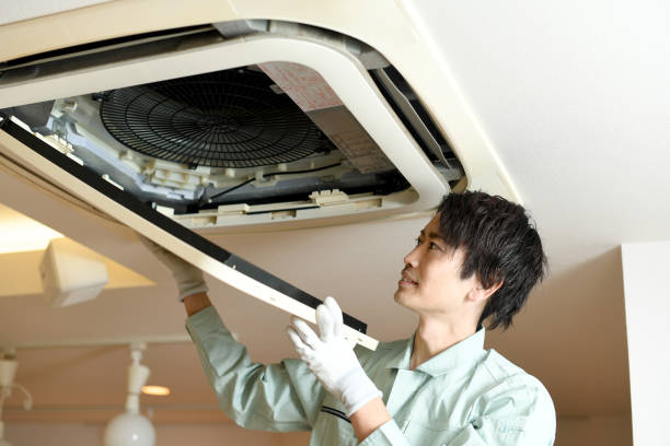 Best Ductwork Cleaning Services  in Kailua, HI